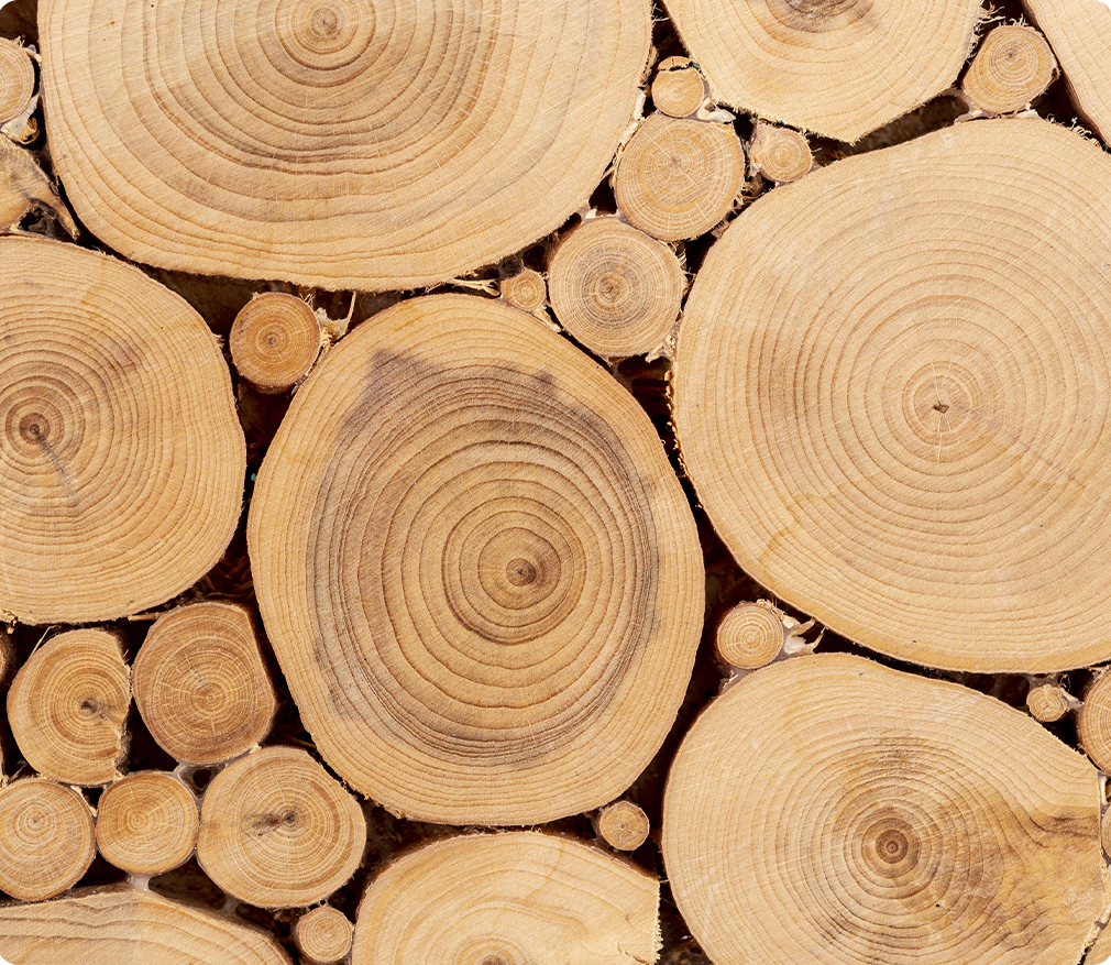 Venta de madera y tableros en CDMX