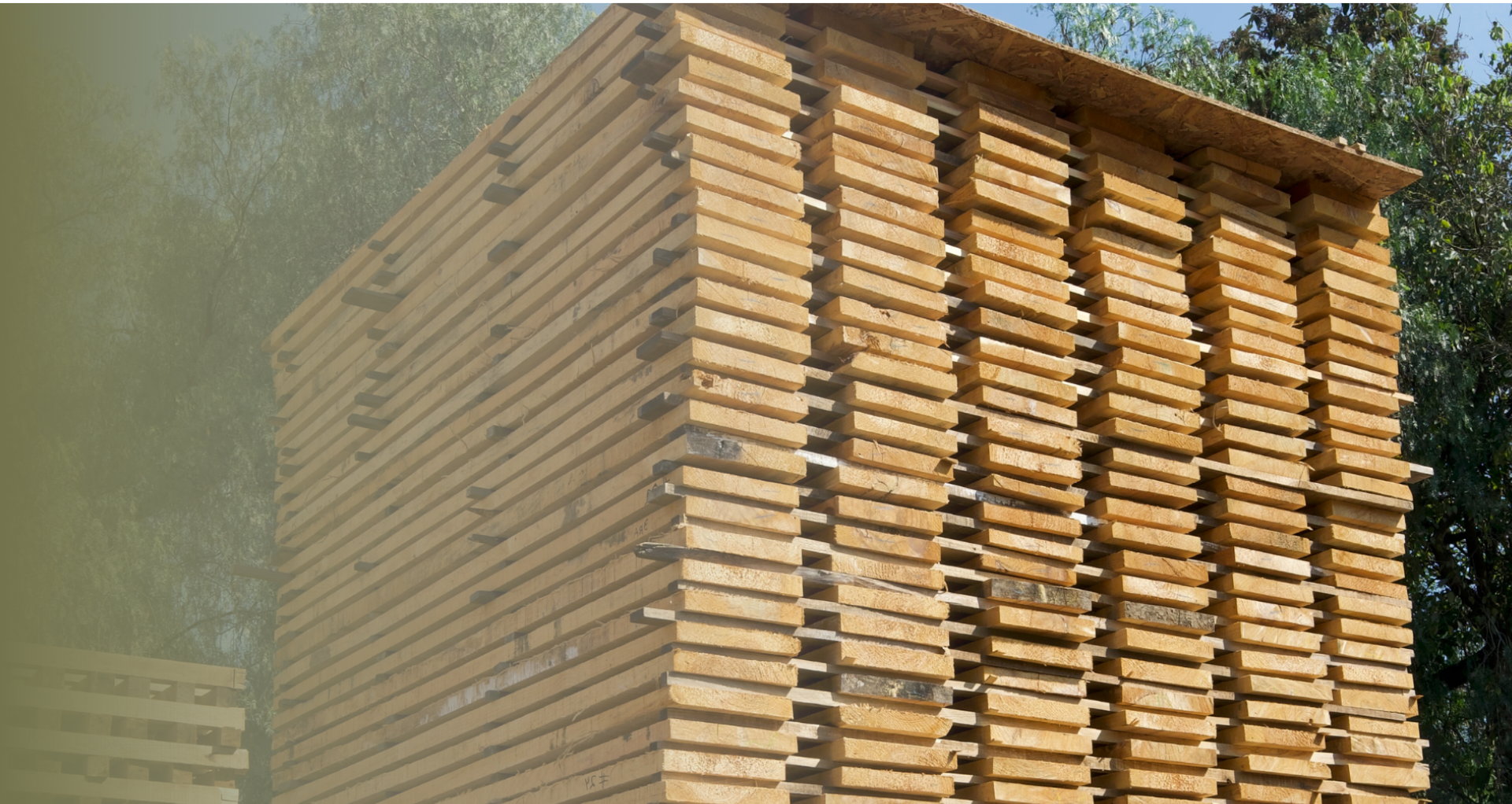 Venta de madera y tableros en CDMX